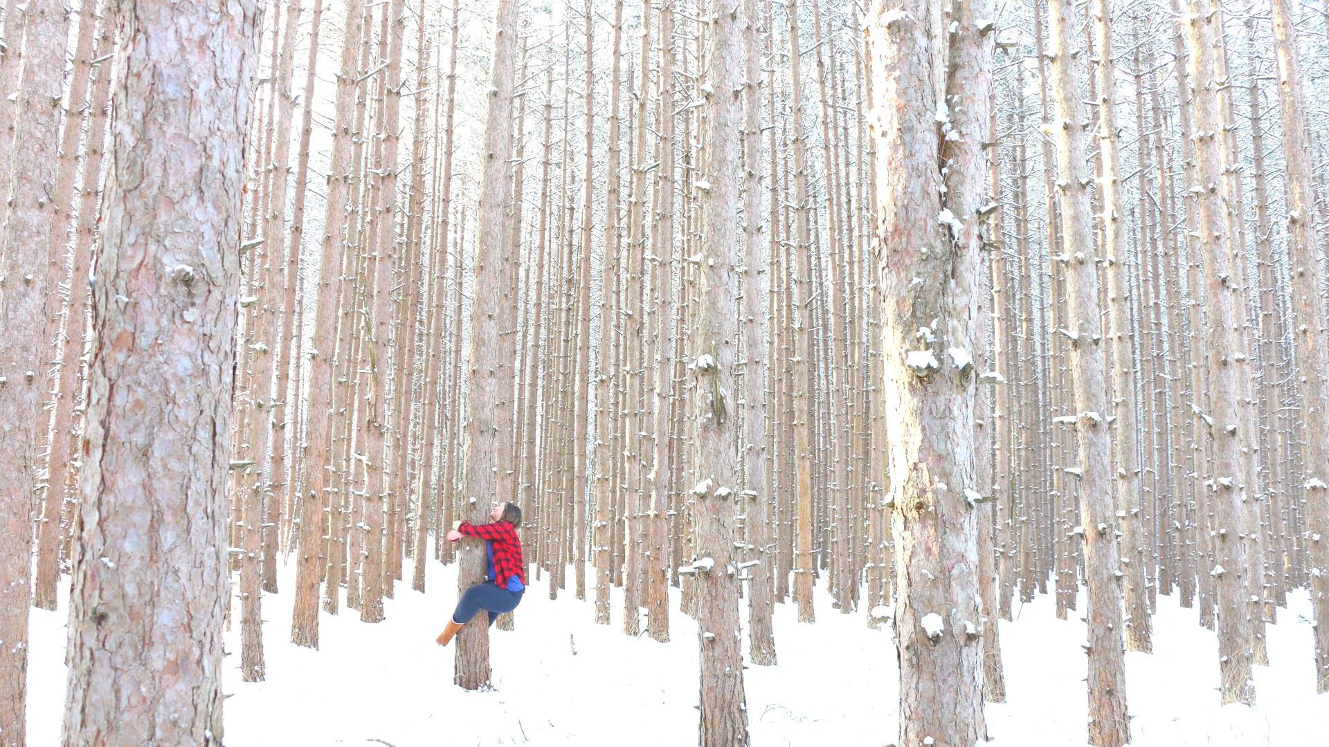 Winter Traverse City MI