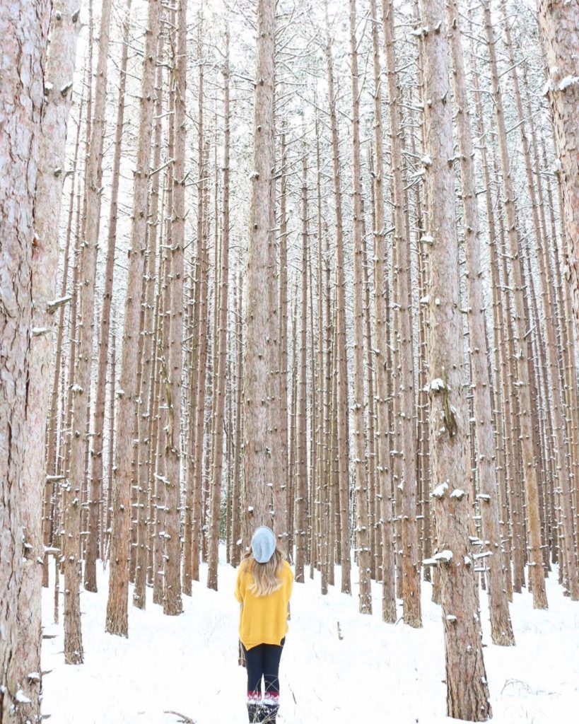 9 Magical Places to Visit in Michigan in the Winter