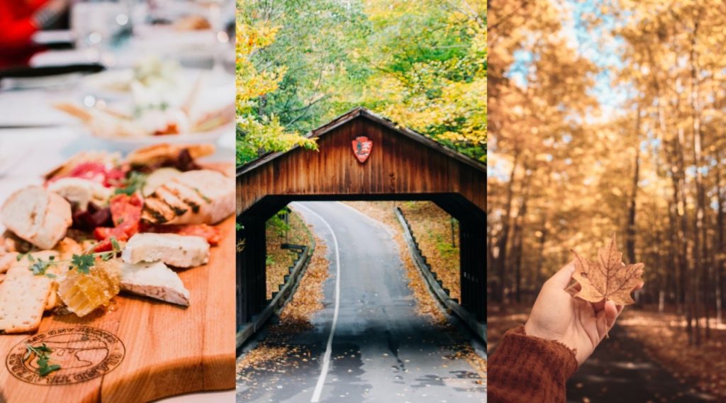 Best Things to Do in Traverse City in The Fall