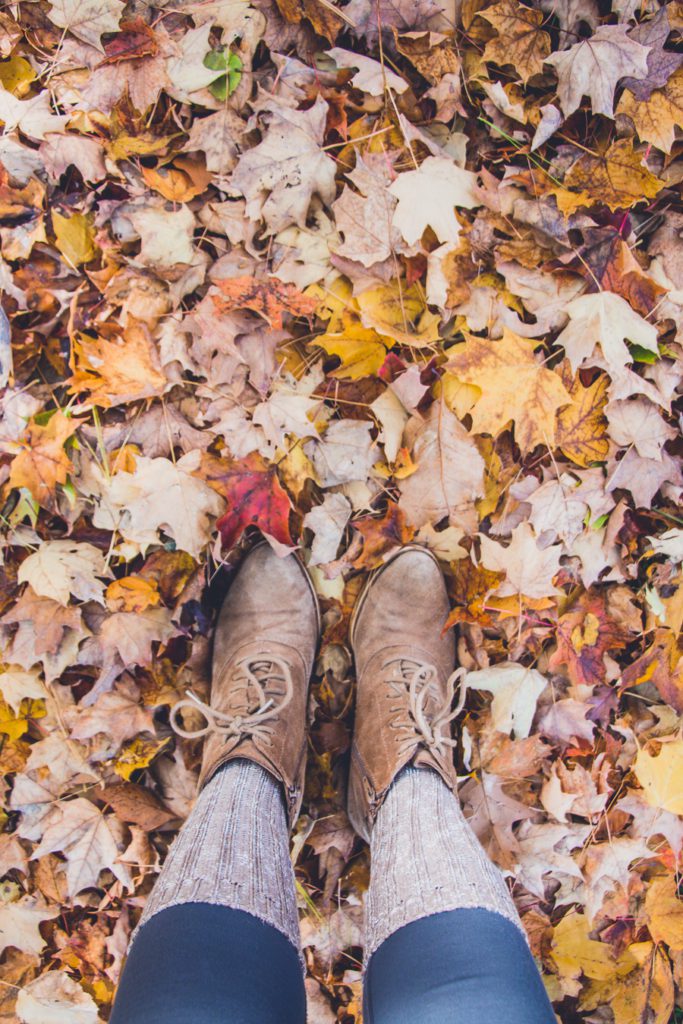 michigan fall colors