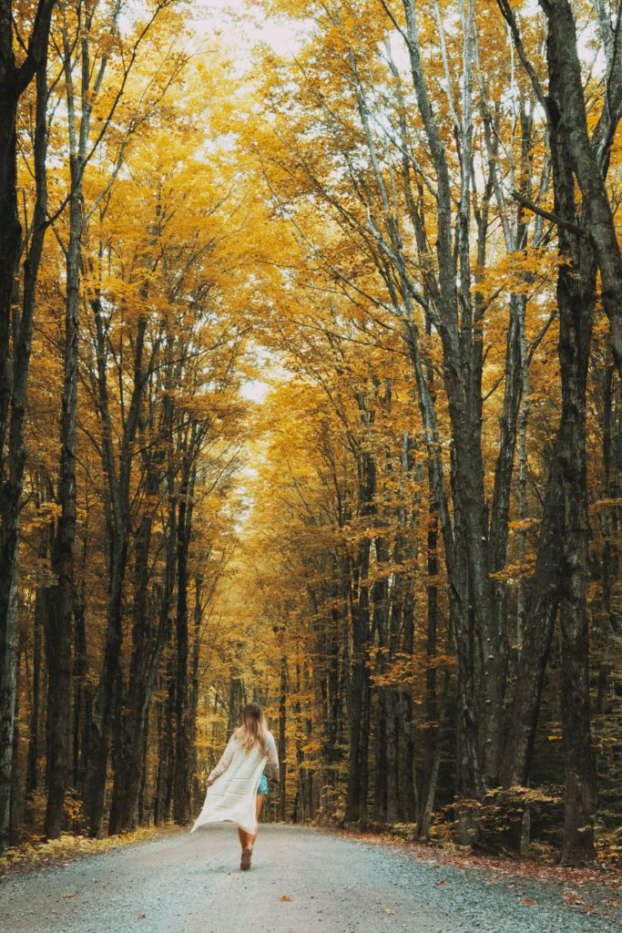 michigan fall colors