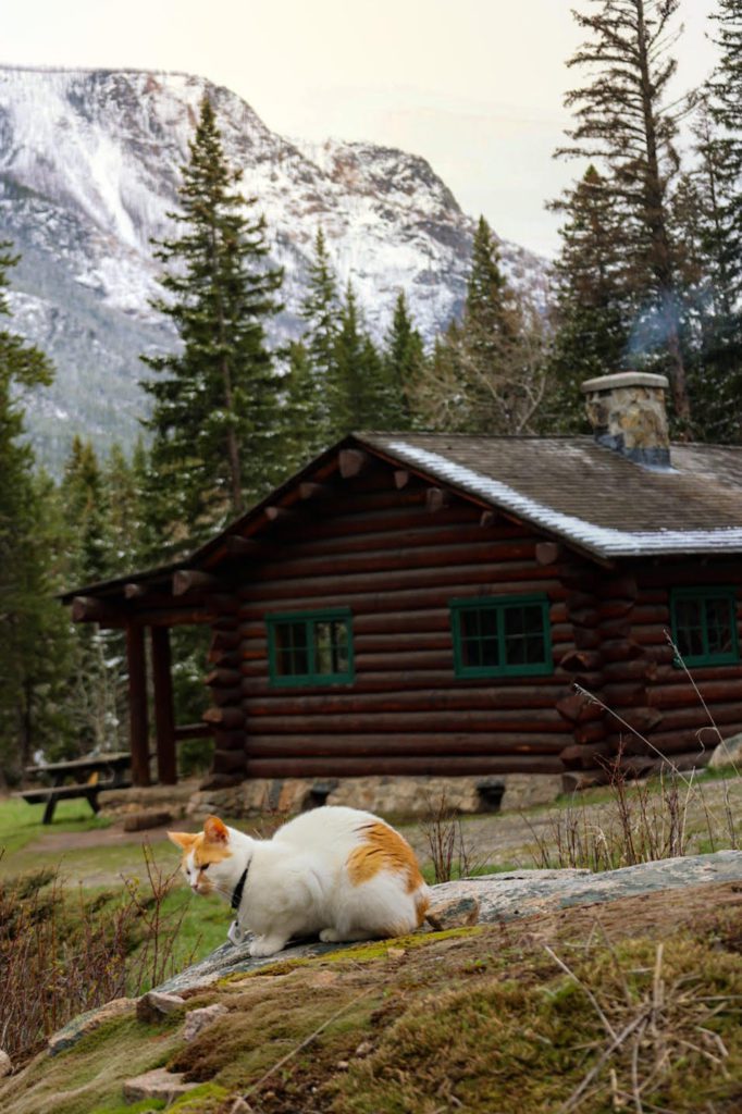  rent a forest service cabin