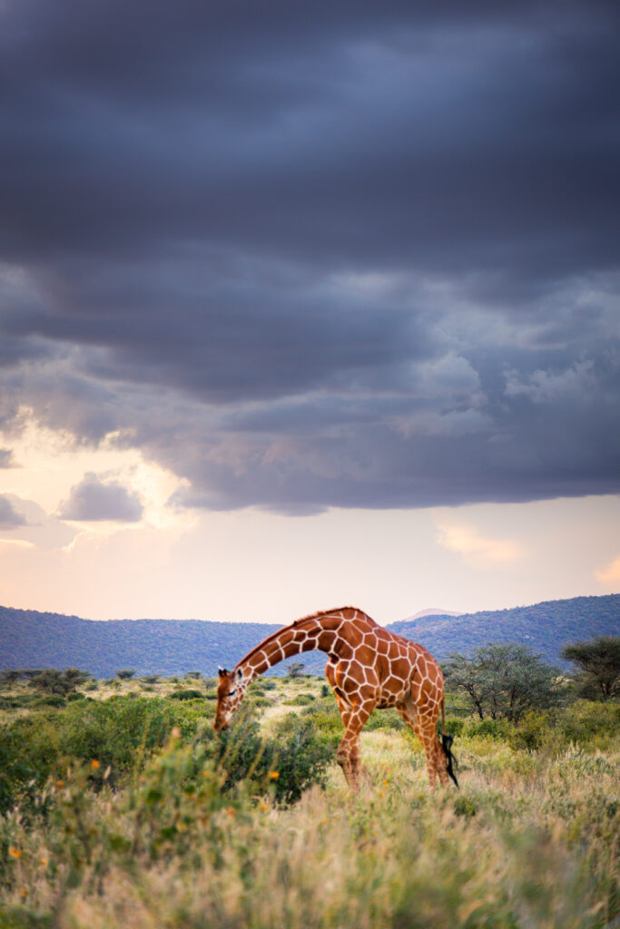 easy ways to make travel cheaper