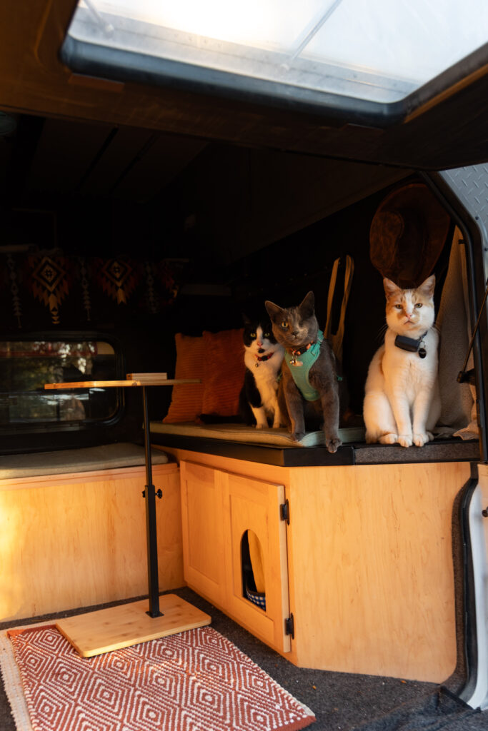 How to Live Full-Time Vanlife