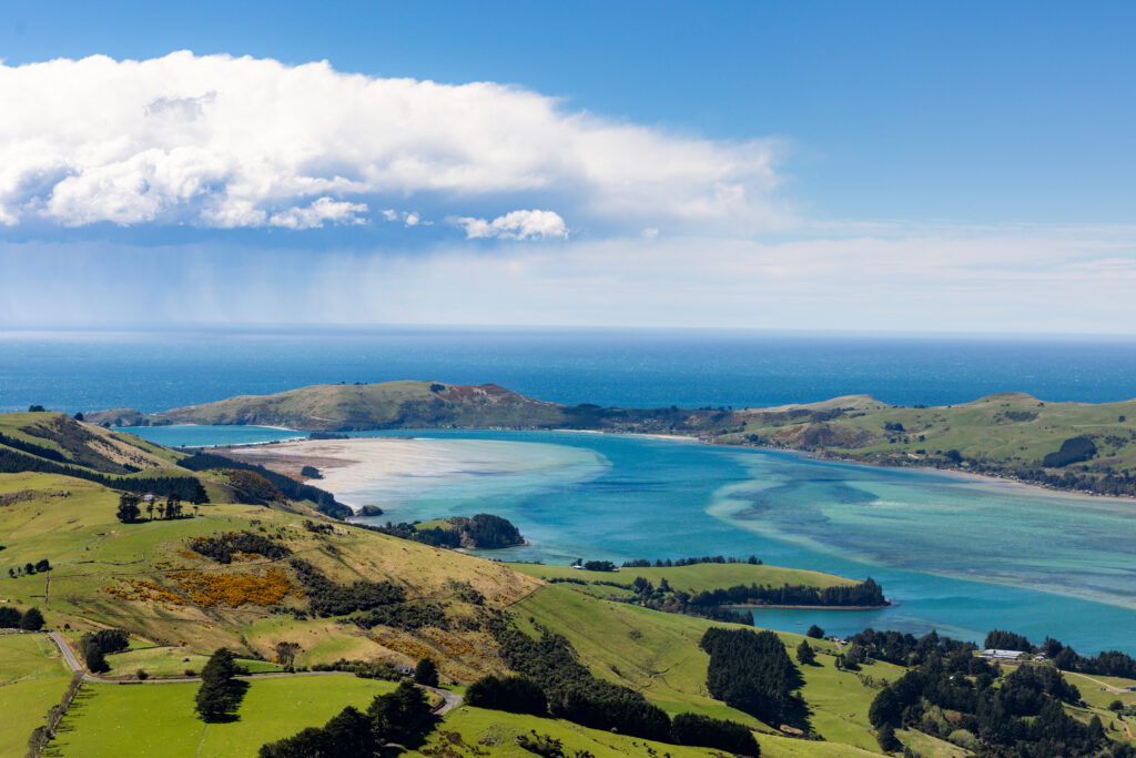 visiting new zealand in the spring
