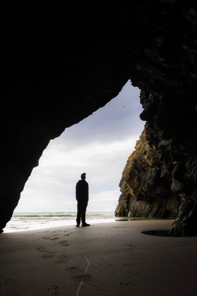 visiting new zealand in the spring