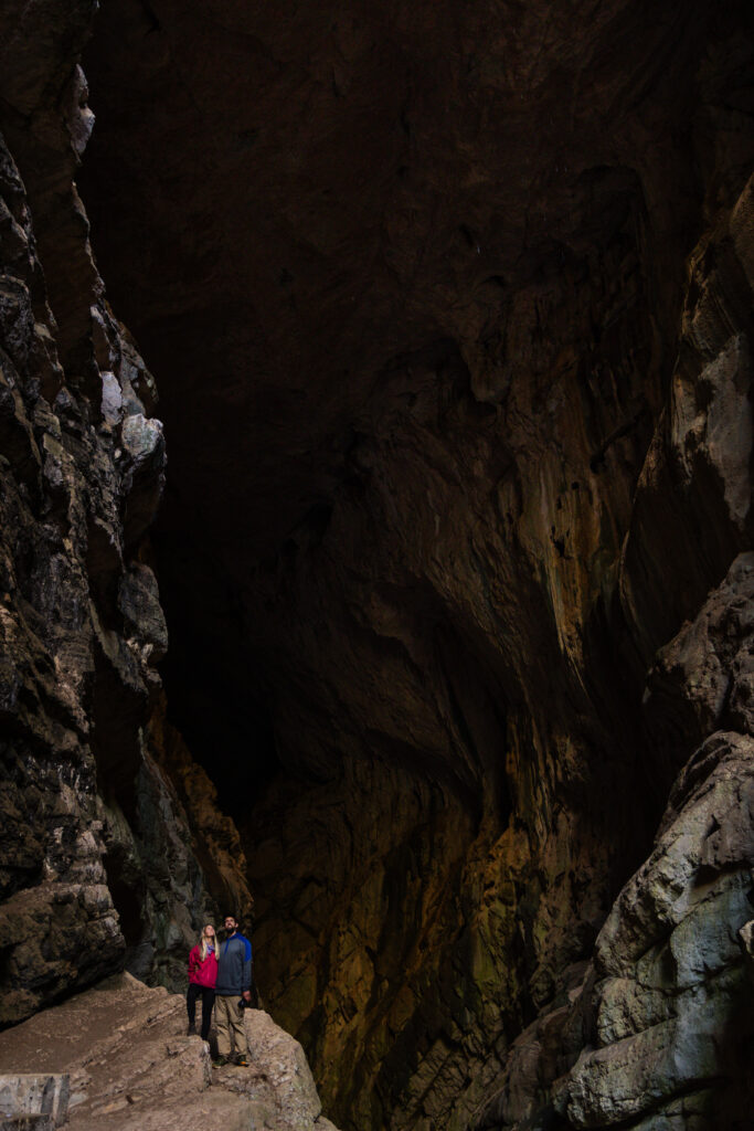 How Many Airline Miles Does it Take to Fly Around the World? 