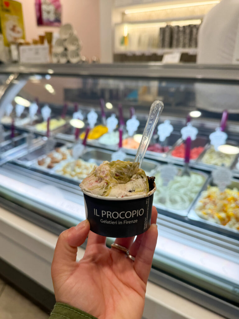 Everything to Know Before Visiting Florence