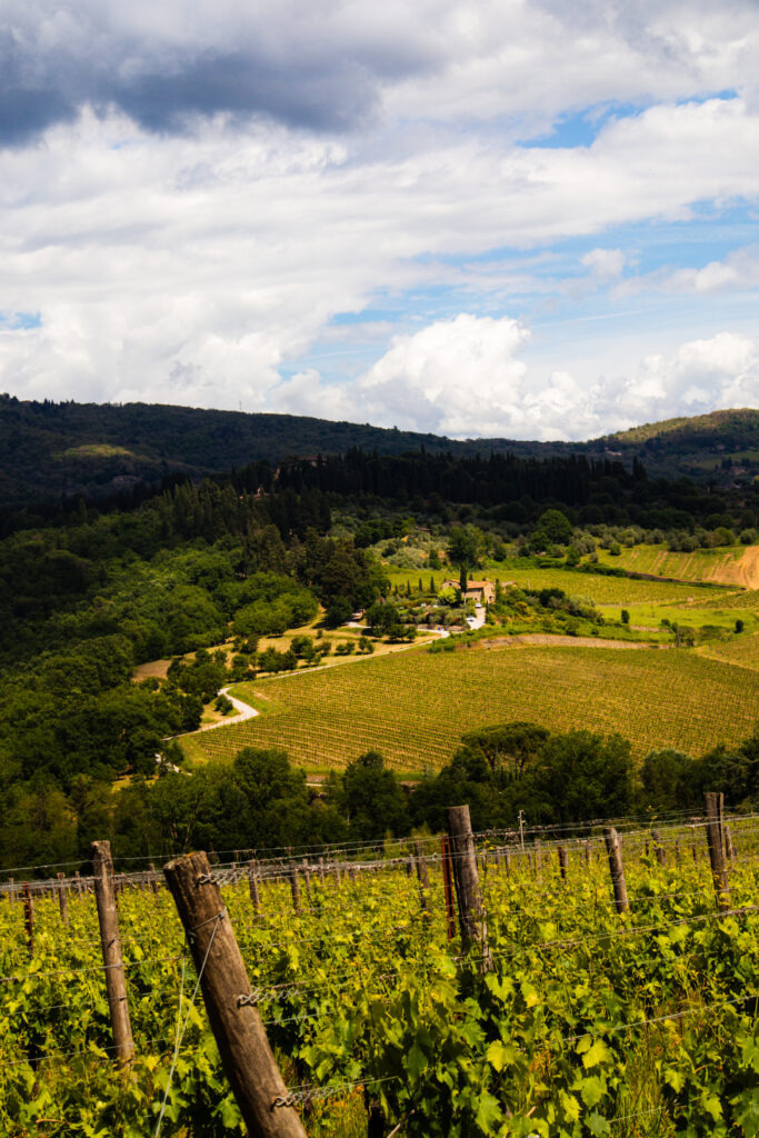 Everything to Know Before Visiting Florence