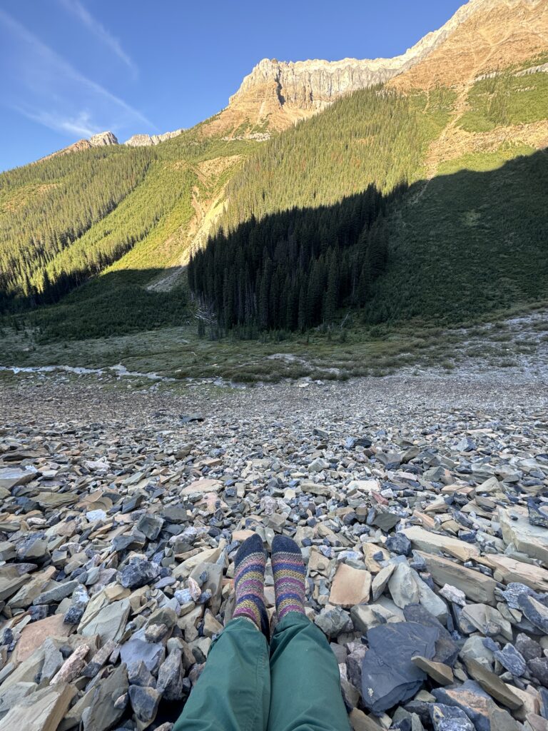 surviving a Grizzly Bear